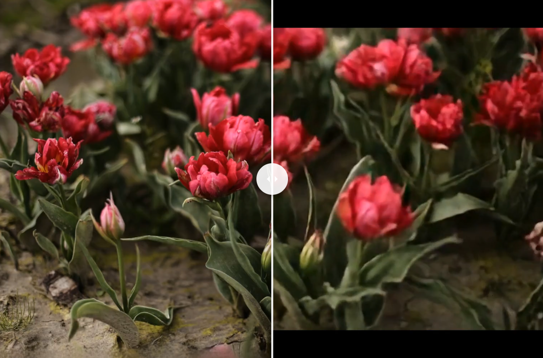 Apple’s SHARP Turns a Single Image into a 3D Scene in Under a Second
