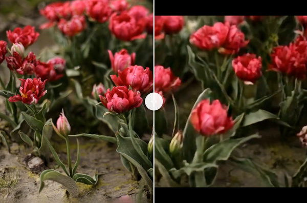 Apple’s SHARP Turns a Single Image into a 3D Scene in Under a Second