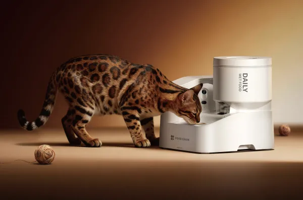 PETKIT Reveals Vision-Enabled Pet Devices That Turn Daily Routines Into Health Data